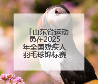 山东省运动员在2025年全国残疾人羽毛球锦标赛暨东京聋奥会选拔赛中斩获3银1铜
