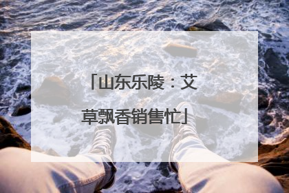 山东乐陵：艾草飘香销售忙