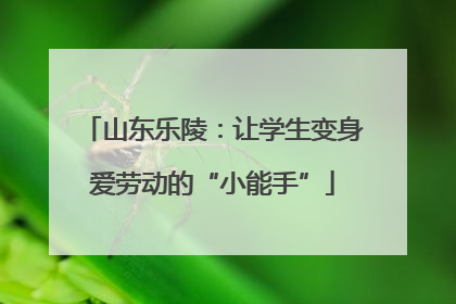 山东乐陵：让学生变身爱劳动的“小能手”