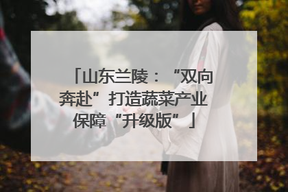 山东兰陵：“双向奔赴”打造蔬菜产业保障“升级版”