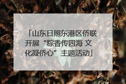 山东日照东港区侨联开展“粽香传四海 文化凝侨心”主题活动
