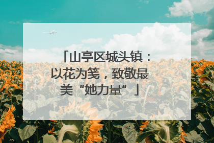 山亭区城头镇：以花为笺，致敬最美“她力量”