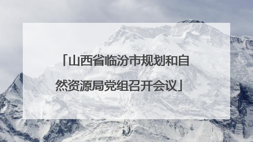 山西省临汾市规划和自然资源局党组召开会议