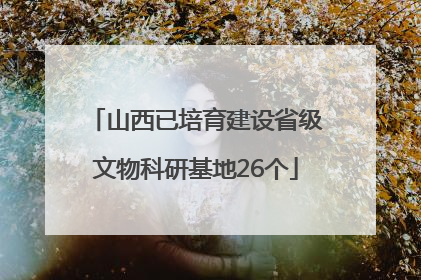 山西已培育建设省级文物科研基地26个