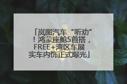 岚图汽车“听劝”！鸿蒙座舱5首搭，FREE+湾区车展实车内饰正式曝光