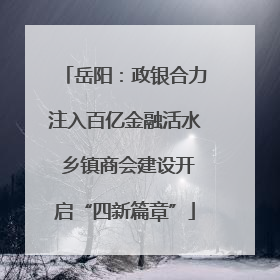 岳阳：政银合力注入百亿金融活水 乡镇商会建设开启“四新篇章”