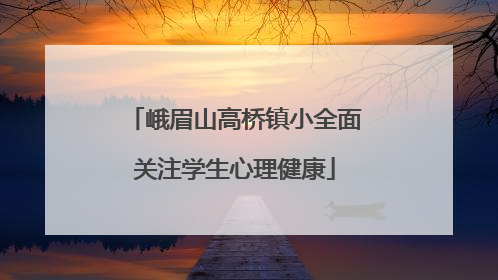 峨眉山高桥镇小全面关注学生心理健康