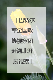 巴特尔率全国政协视察团赴湖北开展视察