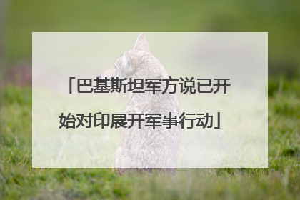 巴基斯坦军方说已开始对印展开军事行动