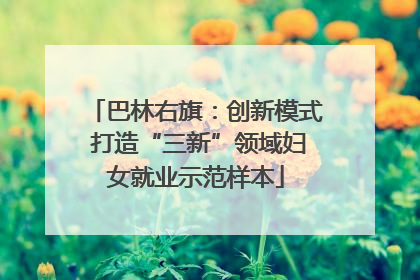 巴林右旗：创新模式 打造“三新”领域妇女就业示范样本