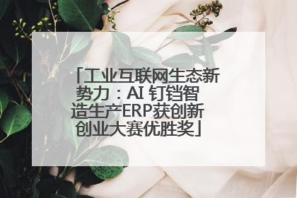 工业互联网生态新势力：AI 钉铛智造生产ERP获创新创业大赛优胜奖