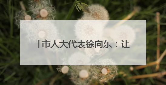 市人大代表徐向东：让“低空经济”在杭州飞得又“稳”又“好”