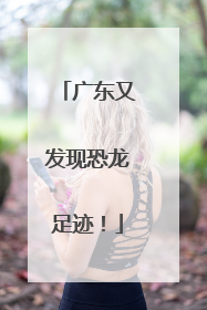 广东又发现恐龙足迹！