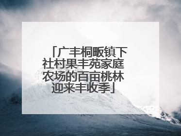 广丰桐畈镇下社村果丰苑家庭农场的百亩桃林迎来丰收季