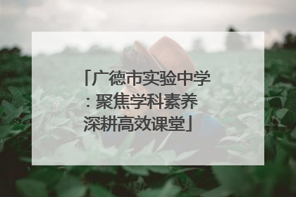 广德市实验中学：聚焦学科素养 深耕高效课堂
