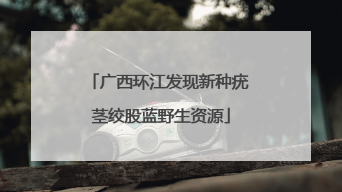 广西环江发现新种疣茎绞股蓝野生资源