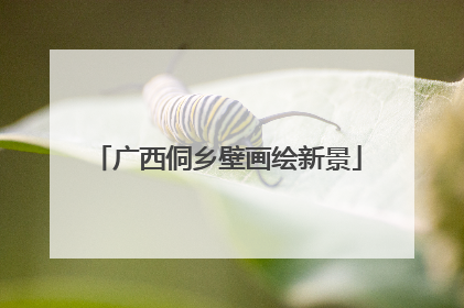 广西侗乡壁画绘新景