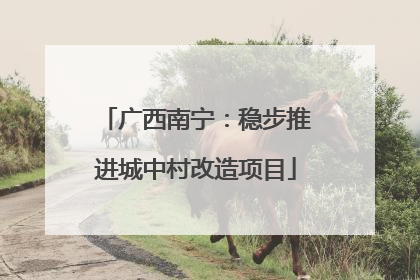 广西南宁：稳步推进城中村改造项目