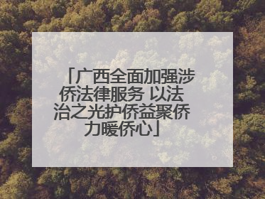 广西全面加强涉侨法律服务 以法治之光护侨益聚侨力暖侨心