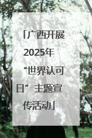 广西开展2025年“世界认可日”主题宣传活动