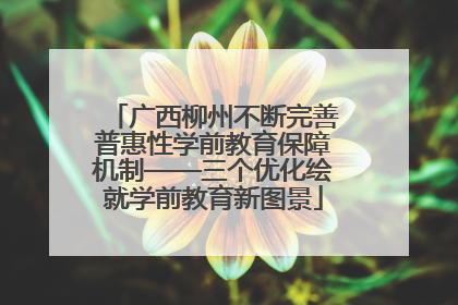 广西柳州不断完善普惠性学前教育保障机制——三个优化绘就学前教育新图景