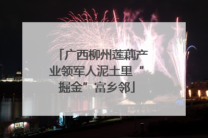广西柳州莲藕产业领军人泥土里“掘金”富乡邻