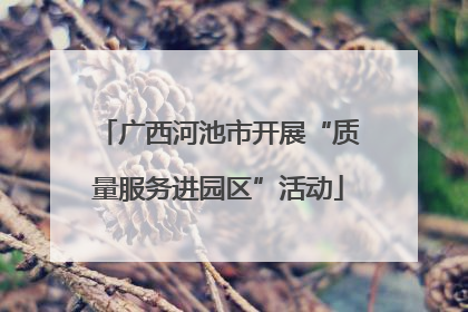 广西河池市开展“质量服务进园区”活动