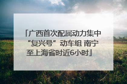 广西首次配属动力集中“复兴号”动车组 南宁至上海省时近6小时