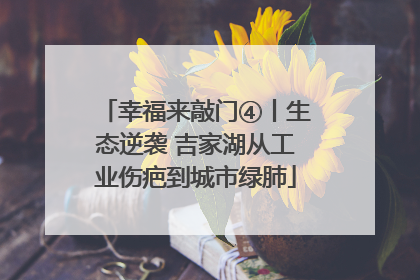 幸福来敲门④丨生态逆袭 吉家湖从工业伤疤到城市绿肺