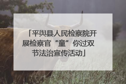 平舆县人民检察院开展检察官“童”你过双节法治宣传活动