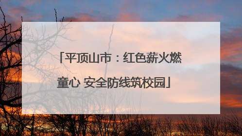 平顶山市：红色薪火燃童心 安全防线筑校园