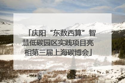 庆阳“东数西算”智慧低碳园区实践项目亮相第三届上海碳博会