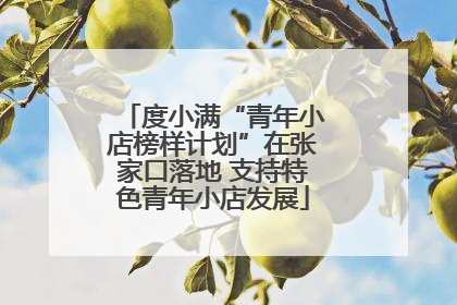 度小满“青年小店榜样计划”在张家口落地 支持特色青年小店发展