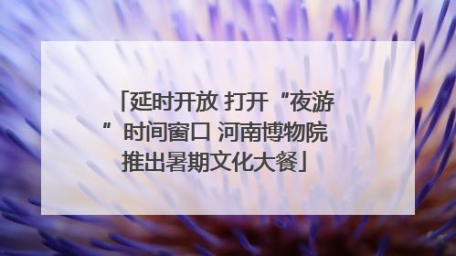 延时开放 打开“夜游”时间窗口 河南博物院推出暑期文化大餐