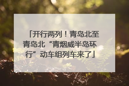 开行两列！青岛北至青岛北“青烟威半岛环行”动车组列车来了