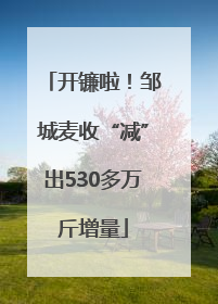 开镰啦！邹城麦收“减”出530多万斤增量