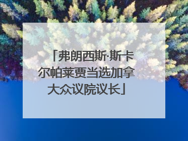弗朗西斯·斯卡尔帕莱贾当选加拿大众议院议长