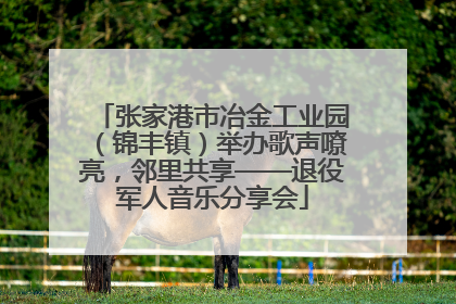 张家港市冶金工业园（锦丰镇）举办歌声嘹亮，邻里共享——退役军人音乐分享会