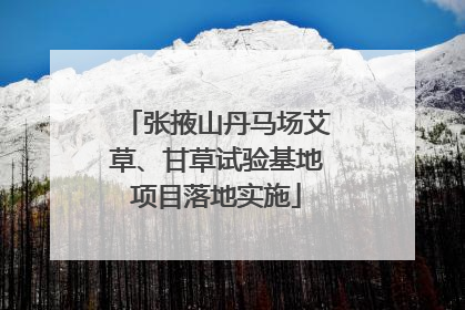 张掖山丹马场艾草、甘草试验基地项目落地实施