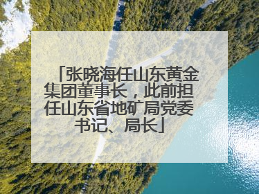 张晓海任山东黄金集团董事长，此前担任山东省地矿局党委书记、局长