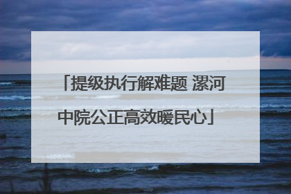 提级执行解难题 漯河中院公正高效暖民心