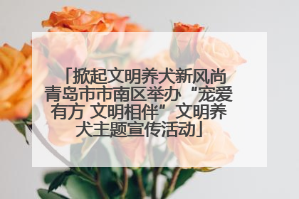 掀起文明养犬新风尚 青岛市市南区举办“宠爱有方 文明相伴”文明养犬主题宣传活动