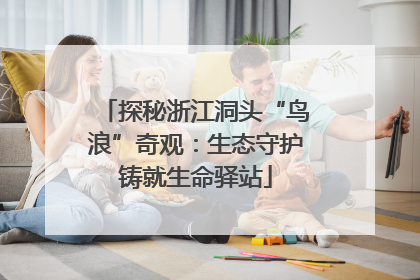 探秘浙江洞头“鸟浪”奇观：生态守护铸就生命驿站