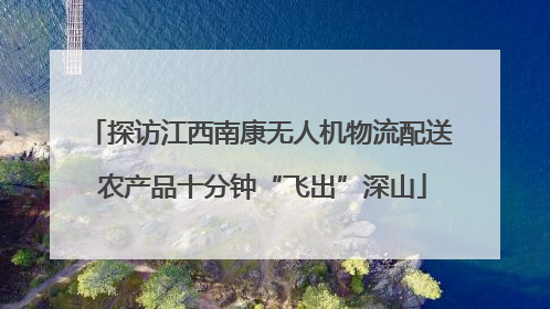 探访江西南康无人机物流配送 农产品十分钟“飞出”深山