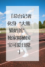 总台记者化身“大熊猫奶爸” 独家揭秘国宝可爱日常