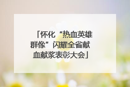 怀化“热血英雄群像”闪耀全省献血献浆表彰大会