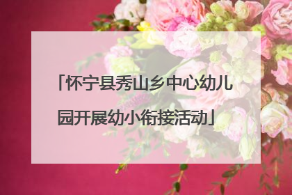 怀宁县秀山乡中心幼儿园开展幼小衔接活动