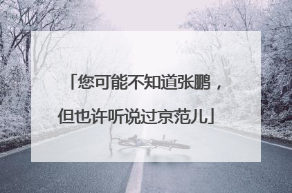 您可能不知道张鹏，但也许听说过京范儿