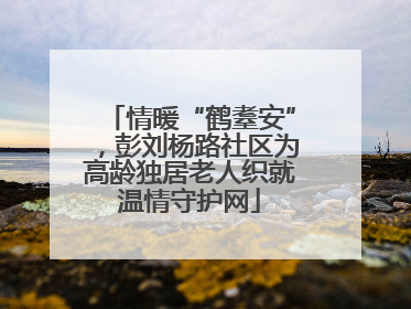 情暖“鹤耋安”，彭刘杨路社区为高龄独居老人织就温情守护网