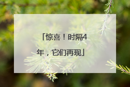 惊喜！时隔4年，它们再现